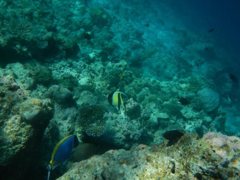 Arena Lodge Sky Maafushi Ngoại thất bức ảnh